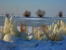 winter it is winter .jpg